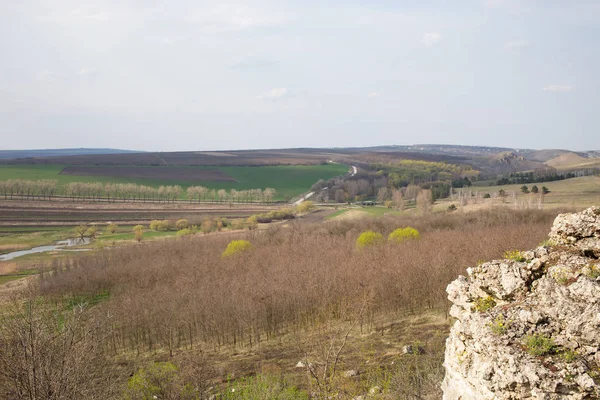 Paisaje con hermosa vista del bosque . — Foto de Stock