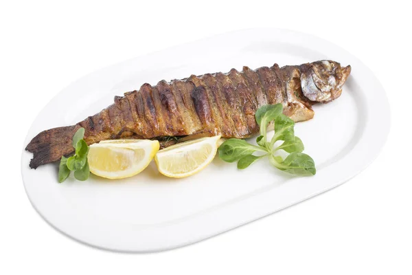 Baked trout with herbs. — Stock Photo, Image