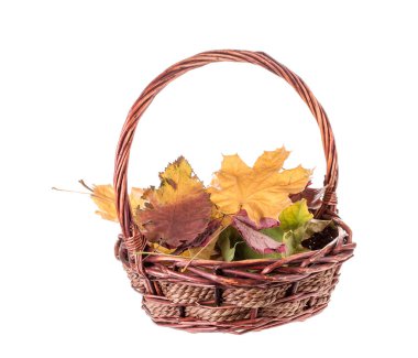 sonbahar yaprakları bileşimi.