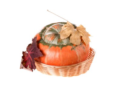 Kompozisyon bir kabak sepeti.