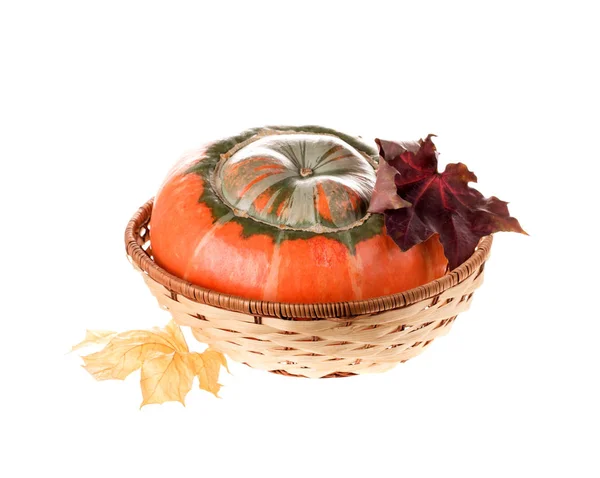 Composition of a pumpkin at the basket. — Stock Photo, Image