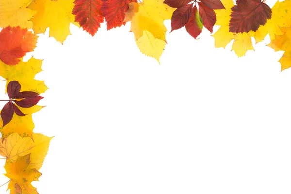 Frame of autumn leaves. — Stock Photo, Image