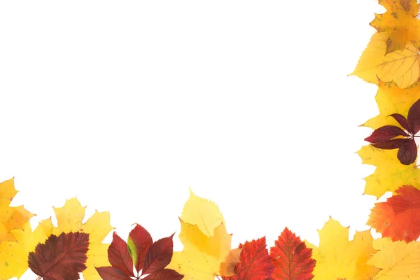 Frame of autumn leaves. — Stock Photo, Image
