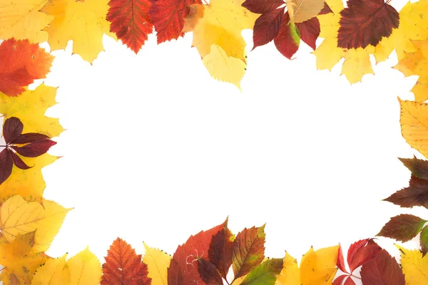 Sonbahar yapraklarının çerçevesi.