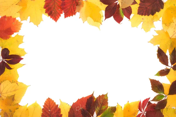 Sonbahar yapraklarının çerçevesi.
