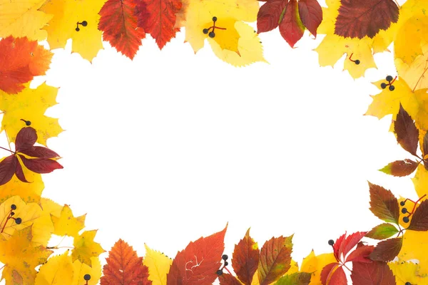 Sonbahar yapraklarının çerçevesi.