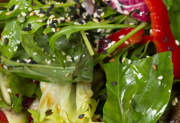 Susam ile taze otlar salata.