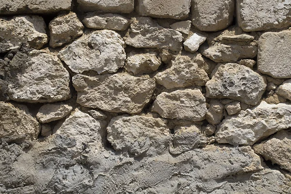 Shell rock wall. — Stock Photo, Image