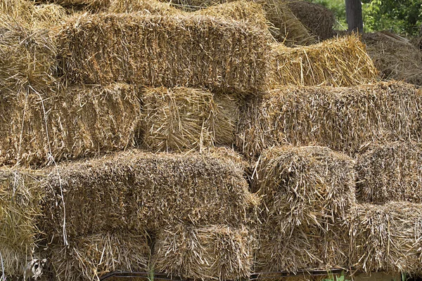 Square Hay Bales.