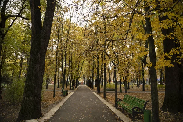 Stadtlandschaft im Herbst. — Stockfoto