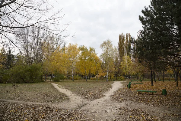 Autumn at a public garden. — Stock Photo, Image