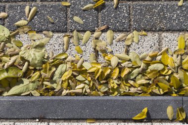 Güzel sonbahar çizimler.