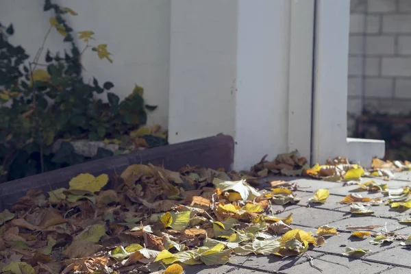 Vista del día de otoño . — Foto de Stock