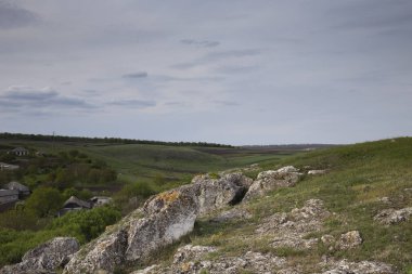Güzel yaz manzarası.