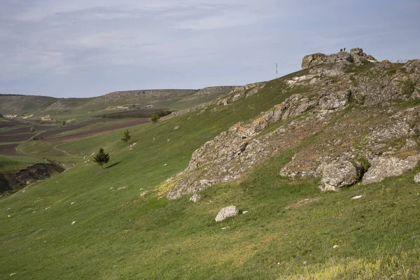 Beau paysage d'été. — Photo