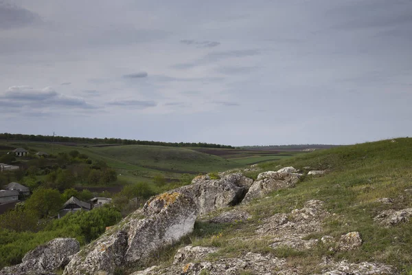 Güzel yaz manzarası.