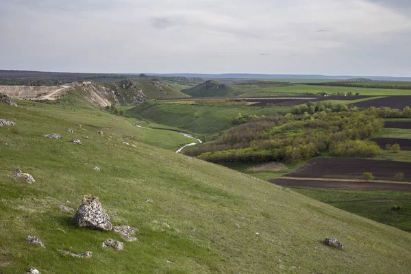 Güzel yaz manzarası.