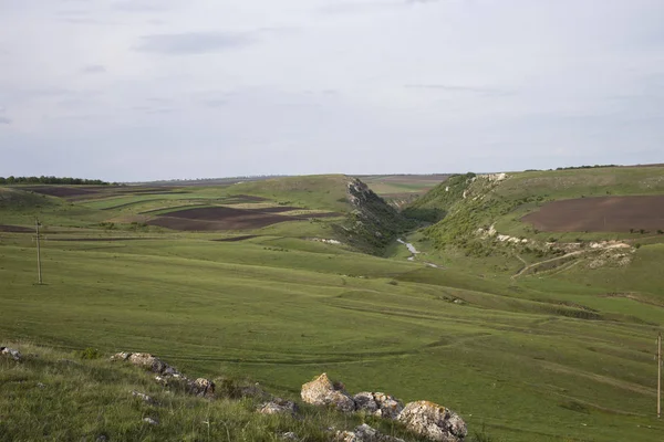 Beau paysage d'été. — Photo