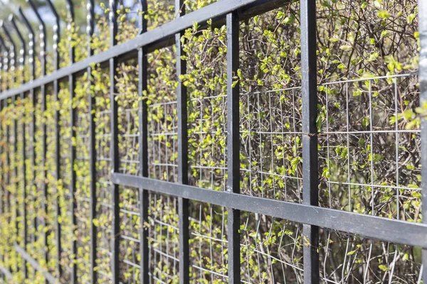 Perspectief van een metalen hek. — Stockfoto