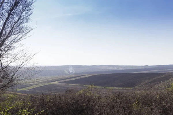 Paisaje de primavera con un campo . — Foto de Stock