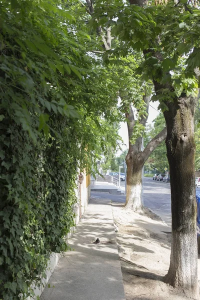 Strada estiva in città . — Foto Stock