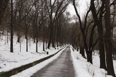 Parkta kış yürüyüşü