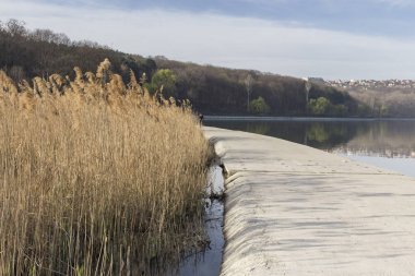 Sazlık üzerinde güzel manzara.
