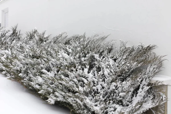 Linda paisagem de inverno. — Fotografia de Stock