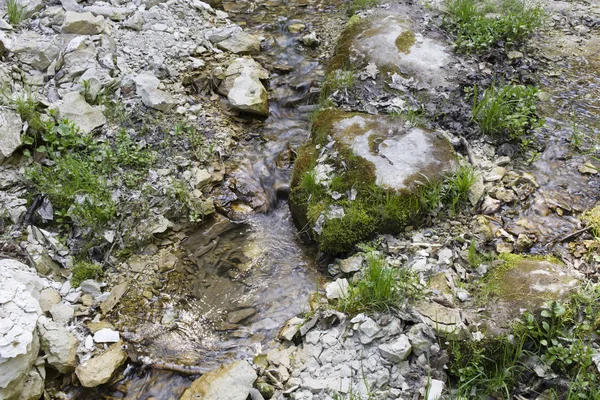 Córrego na floresta. — Fotografia de Stock