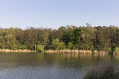 Şehir parkında yaz..