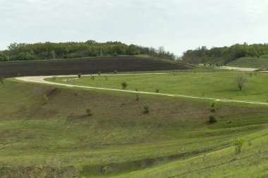 Peyzaj ve beton yol.