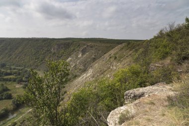Güzel yaz manzarası.