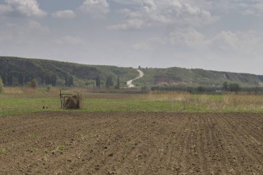 güzel kırsal manzara.