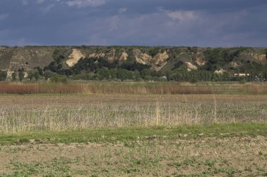 Terk edilmiş bir alanıyla manzara.