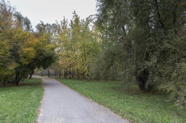 Şehir parkında sonbahar.