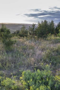 Güzel manzara akşam.