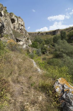 Güzel yaz manzarası.
