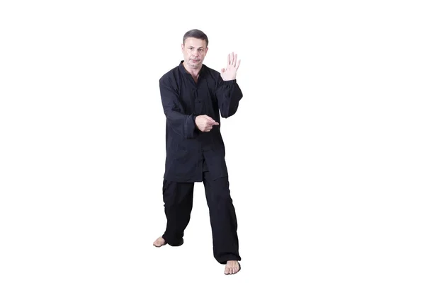Felnőtt sportoló végez formális goju-ryu gyakorlatok. — Stock Fotó