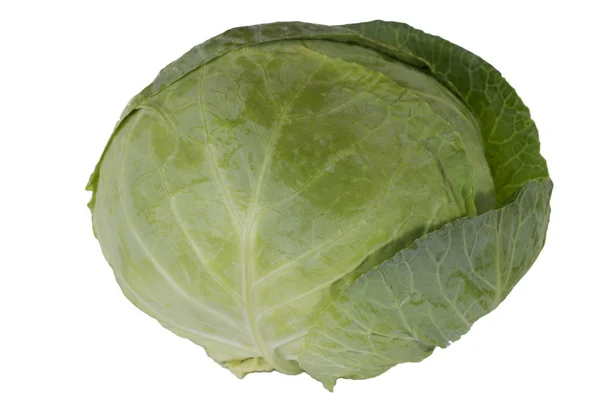 A large head of cabbage is shown in close-up. — Stock Photo, Image
