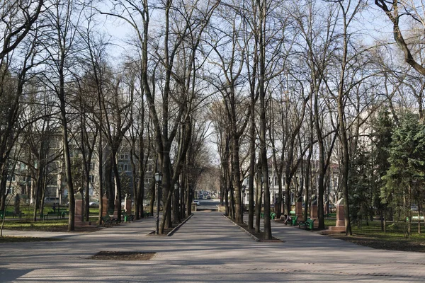 Blick auf den Stadtpark im zeitigen Frühling. — Stockfoto