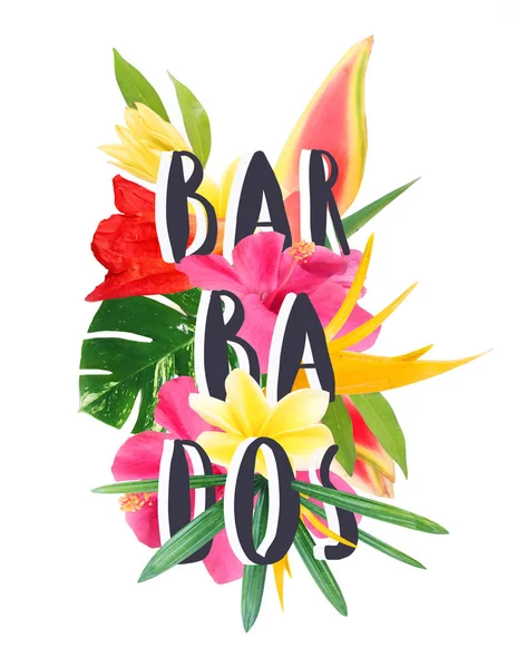 Colagem floral "Barbados" isolado em fundo branco — Fotografia de Stock