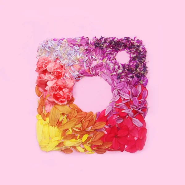Instagram logotipo floral em fundo rosa — Fotografia de Stock