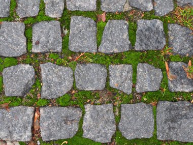 Yeşil yosunlu granit kaldırım