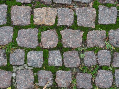 Yeşil yosunlu granit kaldırım