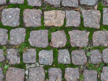 Yeşil yosunlu granit kaldırım