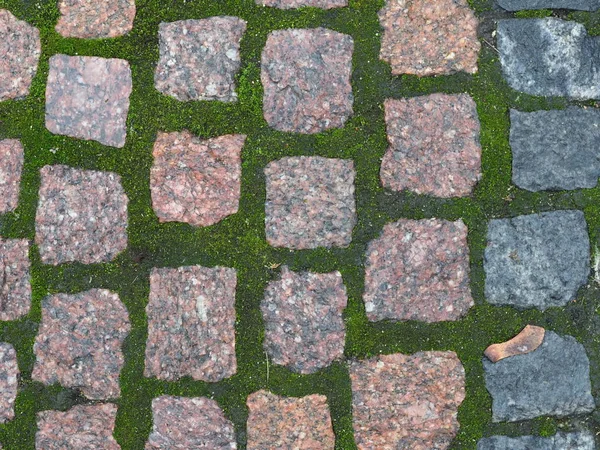 Pavimento Granito Com Musgo Verde — Fotografia de Stock