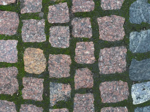 granite pavement with green moss