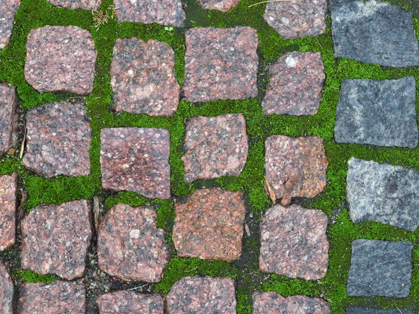 Pavimento Granito Com Musgo Verde — Fotografia de Stock