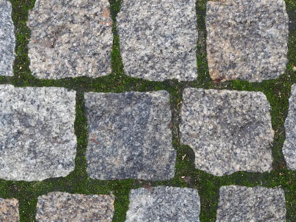 Pavimento Granito Com Musgo Verde — Fotografia de Stock