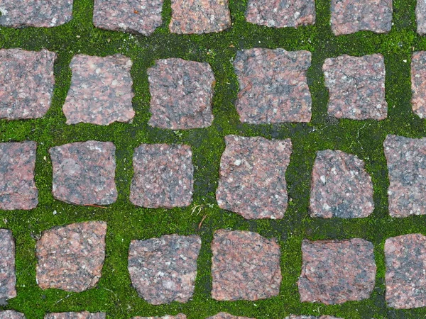 Pavimento Granito Com Musgo Verde — Fotografia de Stock